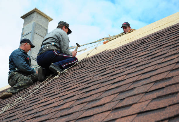 Professional Roofing Contractor in Pleasant Hill, TX